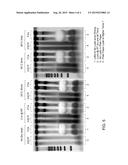 METHODS FOR SAMPLE STORAGE AND DEVICE THEREOF diagram and image