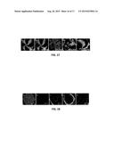 SYSTEM AND METHOD THEREOF FOR ACCURATE OPTICAL DETECTION OF AMPHIPHILES AT     A LIQUID CRYSTAL INTERFACE diagram and image