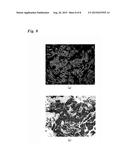 POLYMER PARTICLE CONTAINING FLUORESCENT MOLECULE AND  METHOD FOR PRODUCING     THE SAME diagram and image