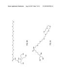 WATER-DISPERSABLE NANOPARTICLES diagram and image