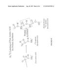 METHOD FOR AUTOMATED, LARGE-SCALE MEASUREMENT OF THE MOLECULAR FLUX RATES     OF THE PROTEOME OR THE ORGANEOME USING MASS SPECTROMETRY diagram and image