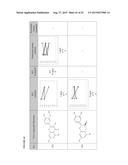 COMPOUNDS, COMPOSITIONS, AND METHODS FOR REDUCING OR ELIMINATING BITTER     TASTE diagram and image