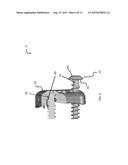 Intervertebral Plate Systems and Methods of Use diagram and image