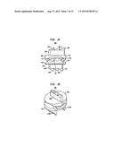 INTERVERTEBRAL DISC IMPLANTS AND TOOLING diagram and image