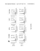 BENZENETRICARBOXYLIC ACID AND METHODS OF USE diagram and image