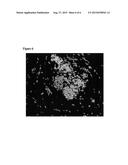 COMPOSITIONS AND METHOD FOR TREATING NEUTRALIZING MICROORGANISMS diagram and image