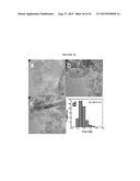 CALIXARENE-BOUND IRIDIUM-CONTAINING METAL COLLOIDS diagram and image