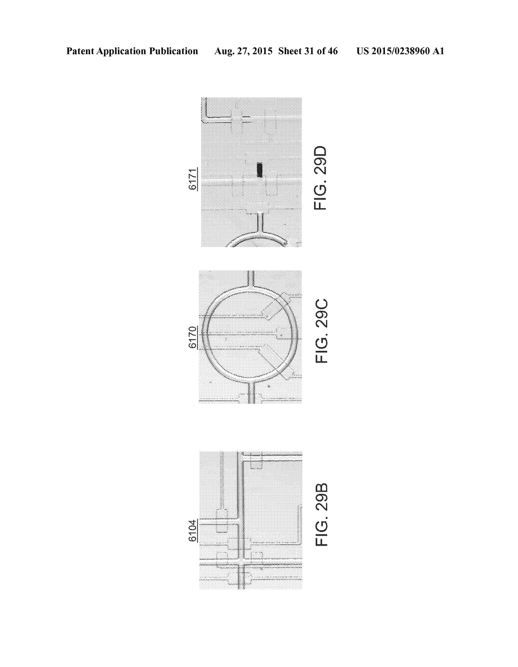 MICROFLUIDIC NUCLEIC ACID ANALYSIS - diagram, schematic, and image 32