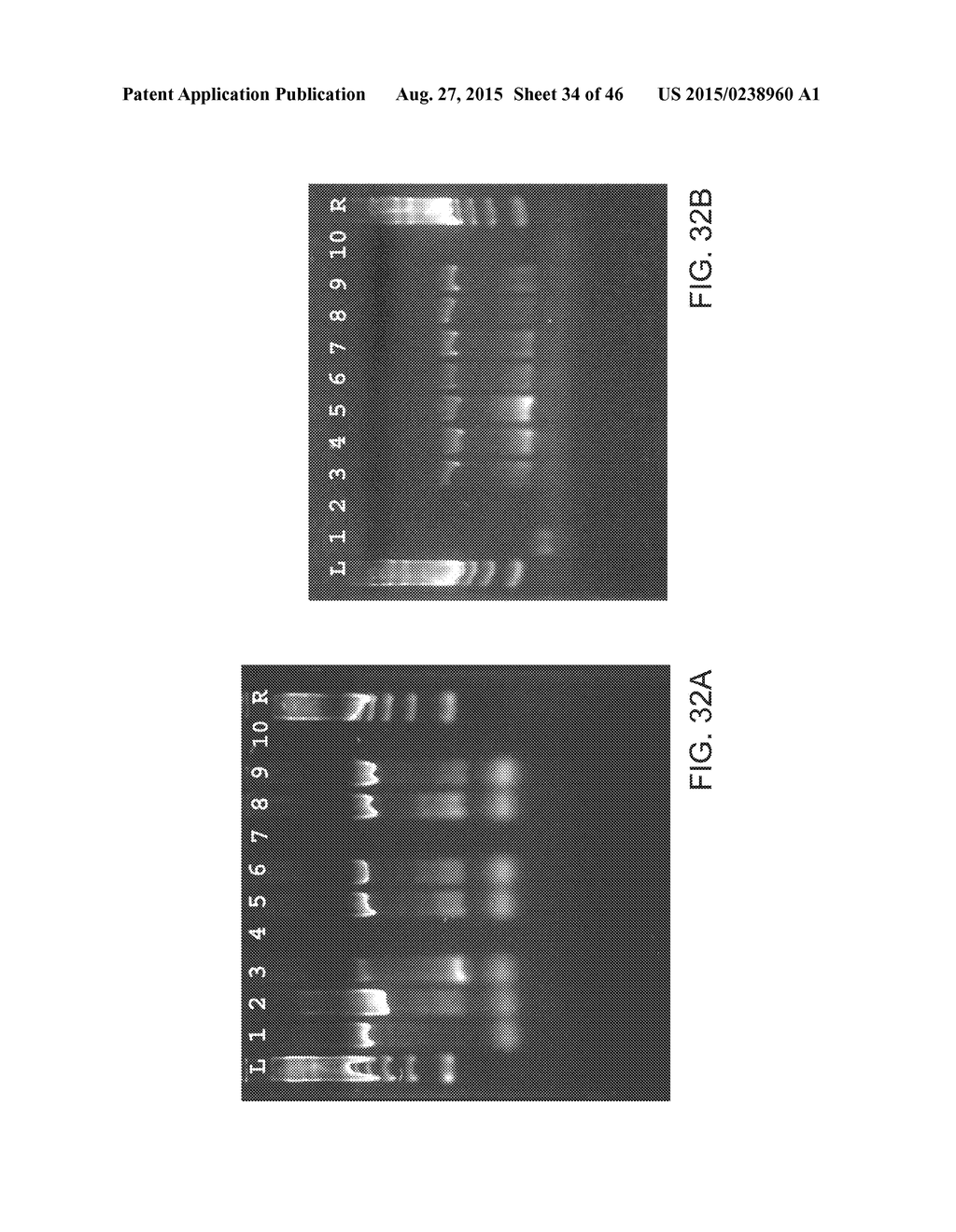 MICROFLUIDIC NUCLEIC ACID ANALYSIS - diagram, schematic, and image 35