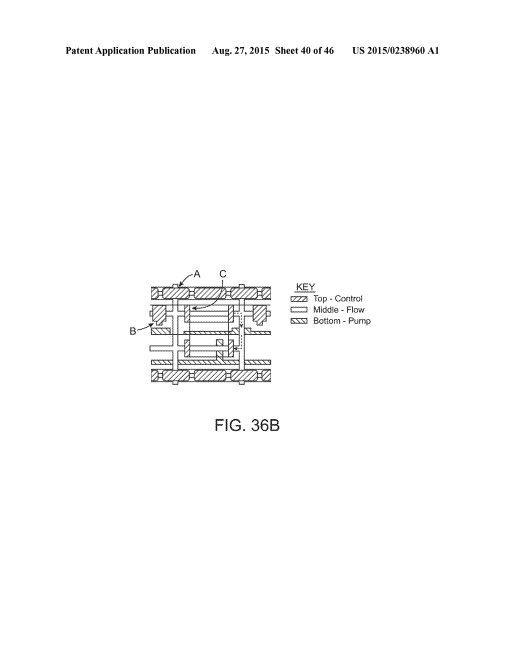 MICROFLUIDIC NUCLEIC ACID ANALYSIS - diagram, schematic, and image 41