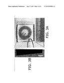 Micro-Fluidic Device And Uses Thereof diagram and image