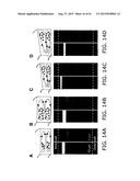 Micro-Fluidic Device And Uses Thereof diagram and image