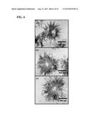 TITANATE AND TITANIA NANOSTRUCTURES AND NANOSTRUCTURE ASSEMBLIES, AND     METHODS OF MAKING SAME diagram and image