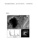 TITANATE AND TITANIA NANOSTRUCTURES AND NANOSTRUCTURE ASSEMBLIES, AND     METHODS OF MAKING SAME diagram and image