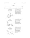 INHIBITOR COMPOUNDS diagram and image