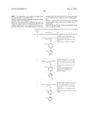 INHIBITOR COMPOUNDS diagram and image