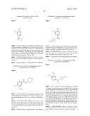 INHIBITOR COMPOUNDS diagram and image