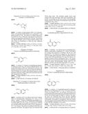 INHIBITOR COMPOUNDS diagram and image