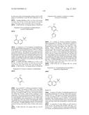 INHIBITOR COMPOUNDS diagram and image