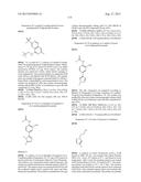 INHIBITOR COMPOUNDS diagram and image