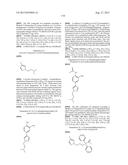 INHIBITOR COMPOUNDS diagram and image