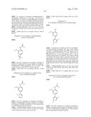 INHIBITOR COMPOUNDS diagram and image