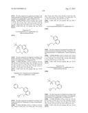 INHIBITOR COMPOUNDS diagram and image