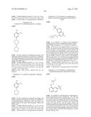 INHIBITOR COMPOUNDS diagram and image