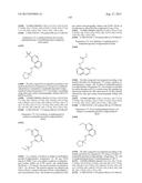 INHIBITOR COMPOUNDS diagram and image