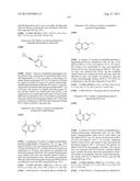 INHIBITOR COMPOUNDS diagram and image