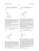 INHIBITOR COMPOUNDS diagram and image