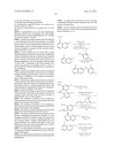 INHIBITOR COMPOUNDS diagram and image