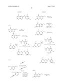 INHIBITOR COMPOUNDS diagram and image