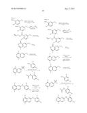 INHIBITOR COMPOUNDS diagram and image