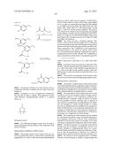 INHIBITOR COMPOUNDS diagram and image