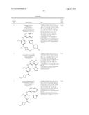 INHIBITOR COMPOUNDS diagram and image