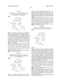 INHIBITOR COMPOUNDS diagram and image