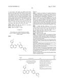 INHIBITOR COMPOUNDS diagram and image