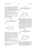 INHIBITOR COMPOUNDS diagram and image