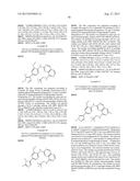 INHIBITOR COMPOUNDS diagram and image