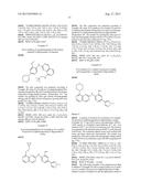 INHIBITOR COMPOUNDS diagram and image