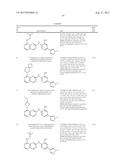 INHIBITOR COMPOUNDS diagram and image