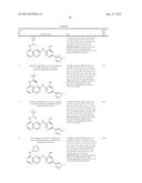 INHIBITOR COMPOUNDS diagram and image