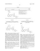 INHIBITOR COMPOUNDS diagram and image