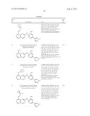 INHIBITOR COMPOUNDS diagram and image