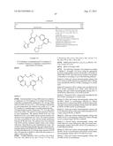 INHIBITOR COMPOUNDS diagram and image