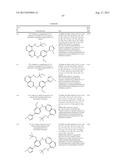 INHIBITOR COMPOUNDS diagram and image
