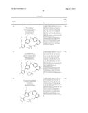 INHIBITOR COMPOUNDS diagram and image