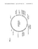 Process of Producing Phosphinothricin Employing Nitrilases diagram and image