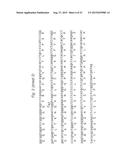 HIGH AFFINITY ANTI-PROSTATE STEM CELL ANTIGEN (PSCA) ANTIBODIES FOR CANCER     TARGETING AND DETECTION diagram and image